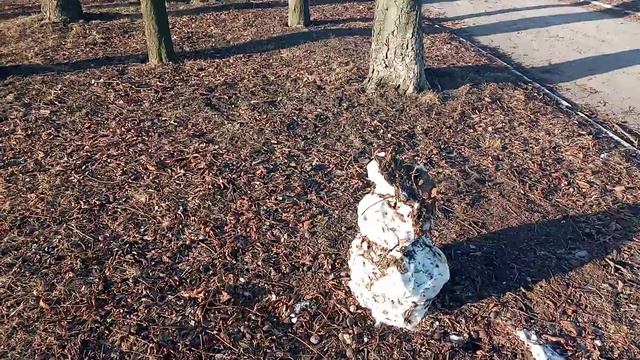 Так они возвращаются...Сегодня все в снегу! смотреть онлайн