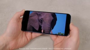 HUAWEI nova 12s: КРУТОЙ СМАРТФОН ПО РАЗУМНОЙ ЦЕНЕ!