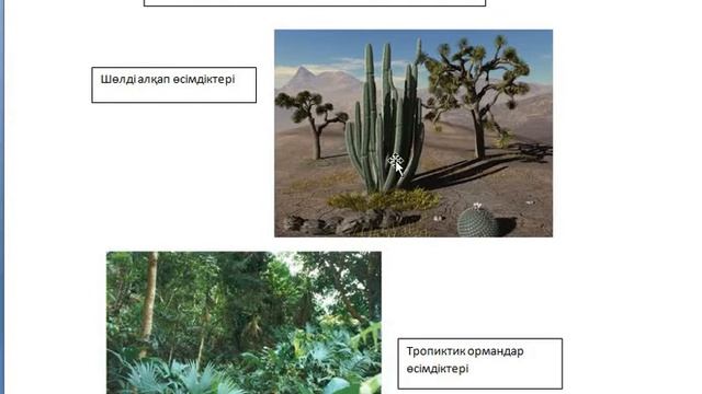 Тірі ағзалардың қоршаған ортаға бейімделуі