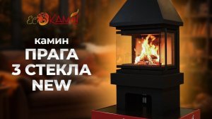 Камин Прага три стекла NEW от компании ЭкоКамин