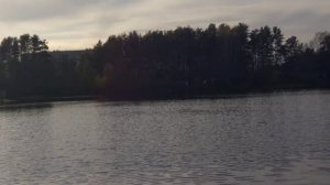 Мечтаю о чистом пруду в Отрадном🙂