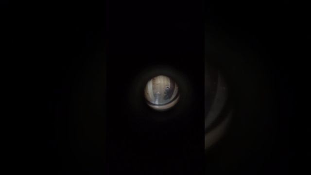 Сил открыть дверей нету,а позвонить сообразил как. смотреть онлайн