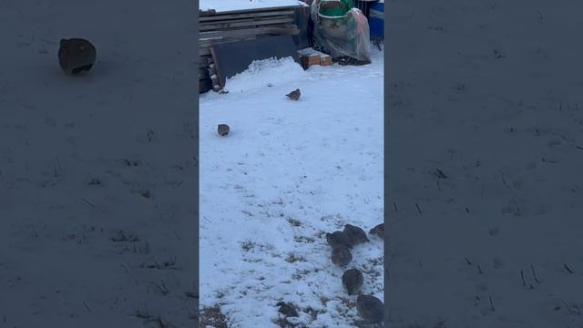А это кто там в гости к нам пожаловал?