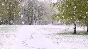 Апрельское чудо... Лариса Мерзлякова