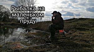 РЫБАЛКА НА МАЛЕНЬКОМ ПРУДУ!