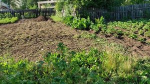 Наш будущий ОГОРОД МЕЧТЫ 🥕🌶🥒 Закрываем геотекстилем от сорняков