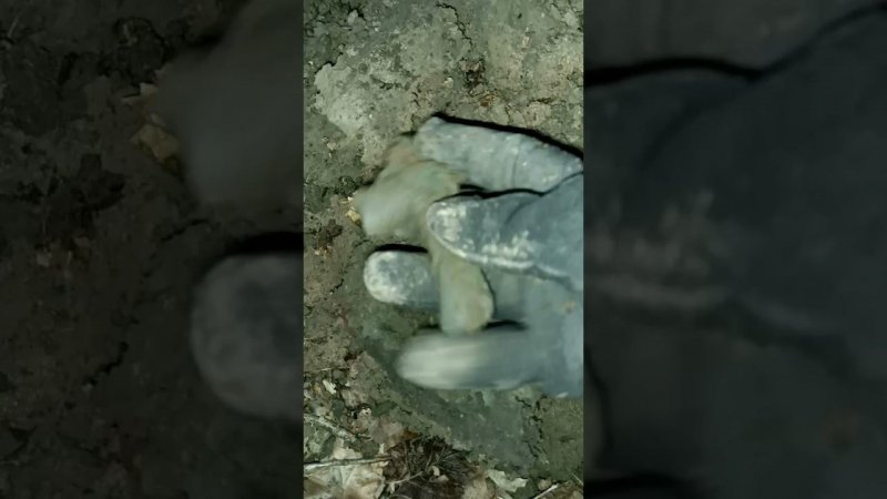 Артефакт №188