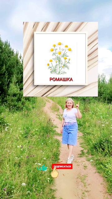 ТОП ПРОДУКТОВ РАЗЖИЖАЮЩИЕ  Сибирское здоровье