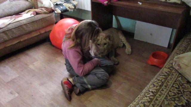 Симона смотреть онлайн