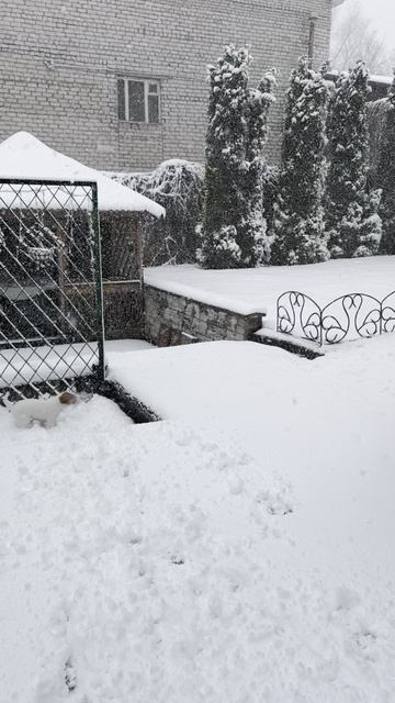 После +20 выпал снег)) смотреть онлайн