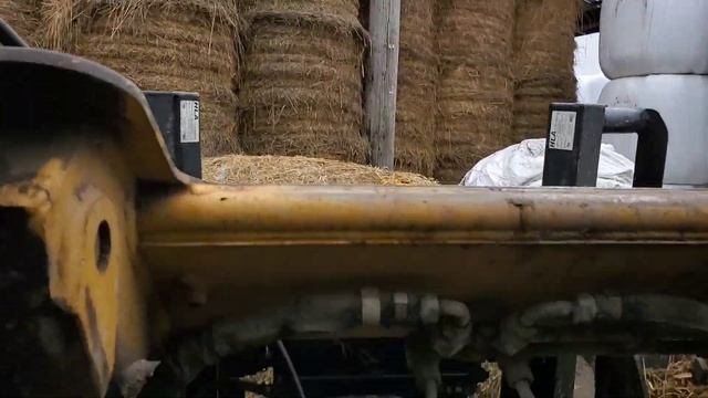Innovative Ways To Feed Your Flock: Sheep Feeding Tips And Techniques