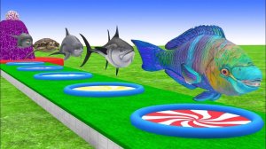 Разноцветные ЖИВОТНЫЕ:акула, кит, черепаха, рыба, барракуда, морской источник,РЫБКА ЗОЛОТАЯ Мультик