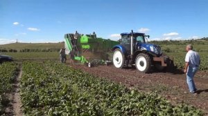 Картофелеуборочный комбайн для сельского хозяйства, уборочные комбайны картофеля Колнаг