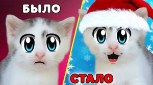 КОШКА МУРКА без НАСТРОЕНИЯ! НАРЯЖАЕМ ЁЛКУ НА НОВЫЙ ГОД! | А ну-ка давай-ка