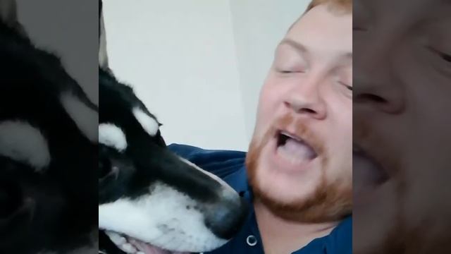 Укусил за сиську смотреть онлайн