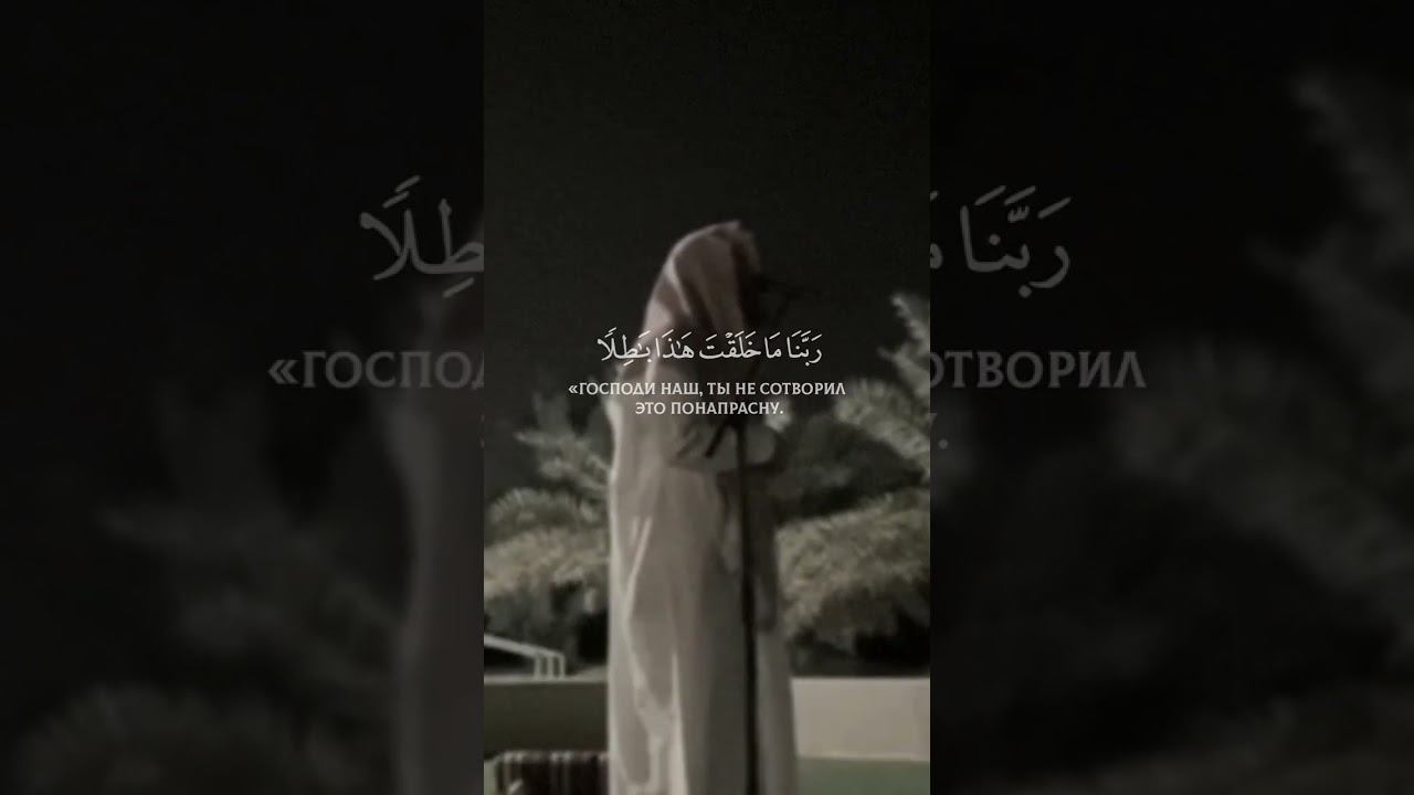 Люхайдан   Красивое Чтение корана