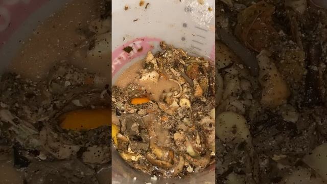 Как правильно сделать барматуху Дзамболата Кундухова  смотрите на канале  ,,Плодородие Земли «