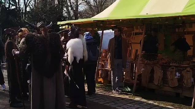 ГЕРМАНИЯ. ПРАЗДНИК СРЕДНЕВЕКОВЬЯ В МАННХАЙМЕ. 15.03.25