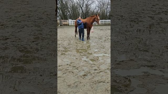 Мария и Восходящий. Хождение рядом смотреть онлайн