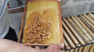 Честный отзыв о матрице для вощины!