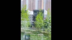 Обзор. Телескопическая щетка для мытья окон