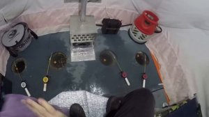 Красивые поклевки карася, лайфхаки, зимняя рыбалка на озере Уелги. Первый лед 2024-2025.