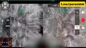 Нарезка лучших сбросов за неделю