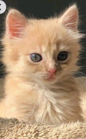дискотека с подружкой