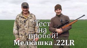 Мелкашка .22LR - тест на пробой! Сколько пробьёт досок ???