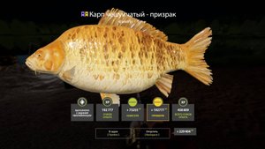 ПОЙМАЛ ПЕРВОГО ТРОФЕЙНОГО ЦВЕТНОГО КАРПА НА ЯНТАРНОМ ОЗЕРЕ В РУССКОЙ РЫБАЛКЕ 4 РР4