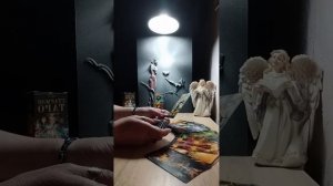 Есть ли будущее с любимым_ Что он решил_ Совет 🕊