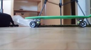 PENNY vs. NICKEL Skateboard: Comparison + Test Ride