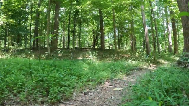 Hike#89 - Blue Frasier Preserve Loop Trail at Frasier Preserve