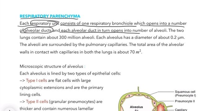 Medical Physiology - Respiratory System - Physiological Anatomy of Respiratory System - [Part 1]