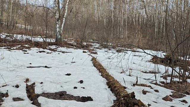 В застывшее болото на мотоцыкле