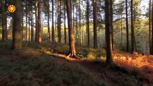 Бус Белояр. Запретная история Руси.