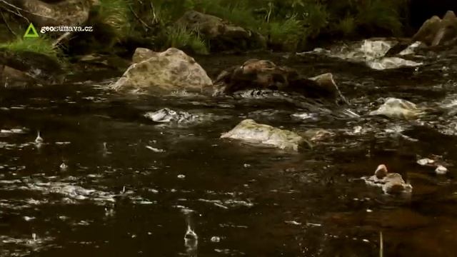 Modrý penzion Modrava смотреть онлайн