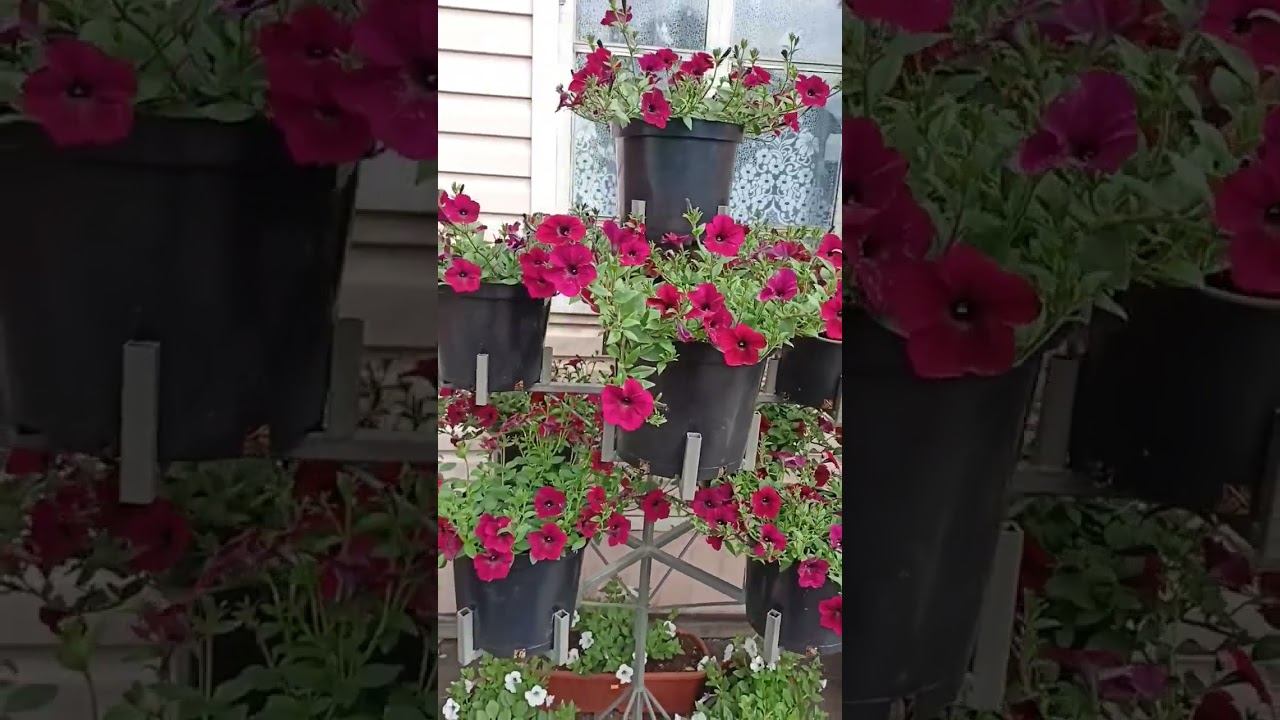 Петуниевое дерево  из тайдалов.
