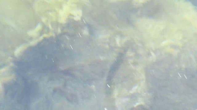 Кусочек моря #1 смотреть онлайн