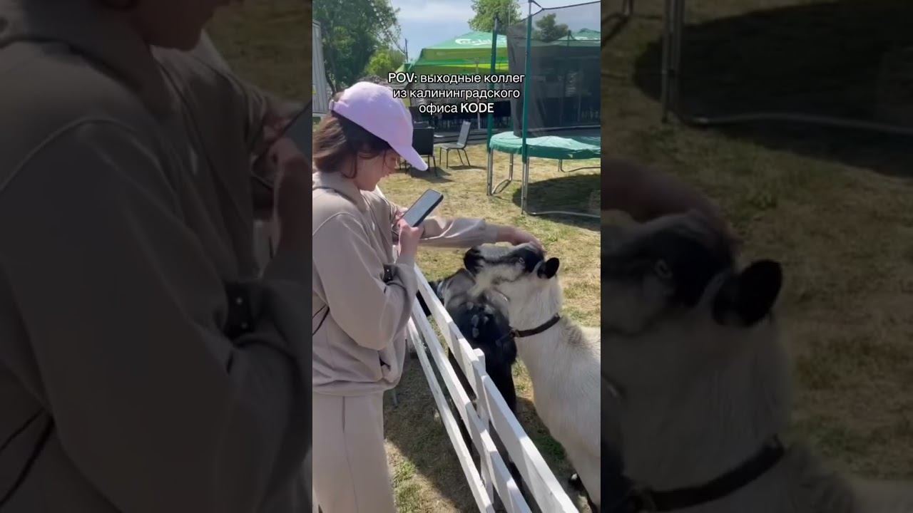 Впереди выходные проведи их также активно как это делают кодеры