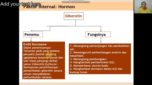 FAKTOR PERTUMBUHAN TANAMAN (FAKTOR INTERNAL) смотреть онлайн