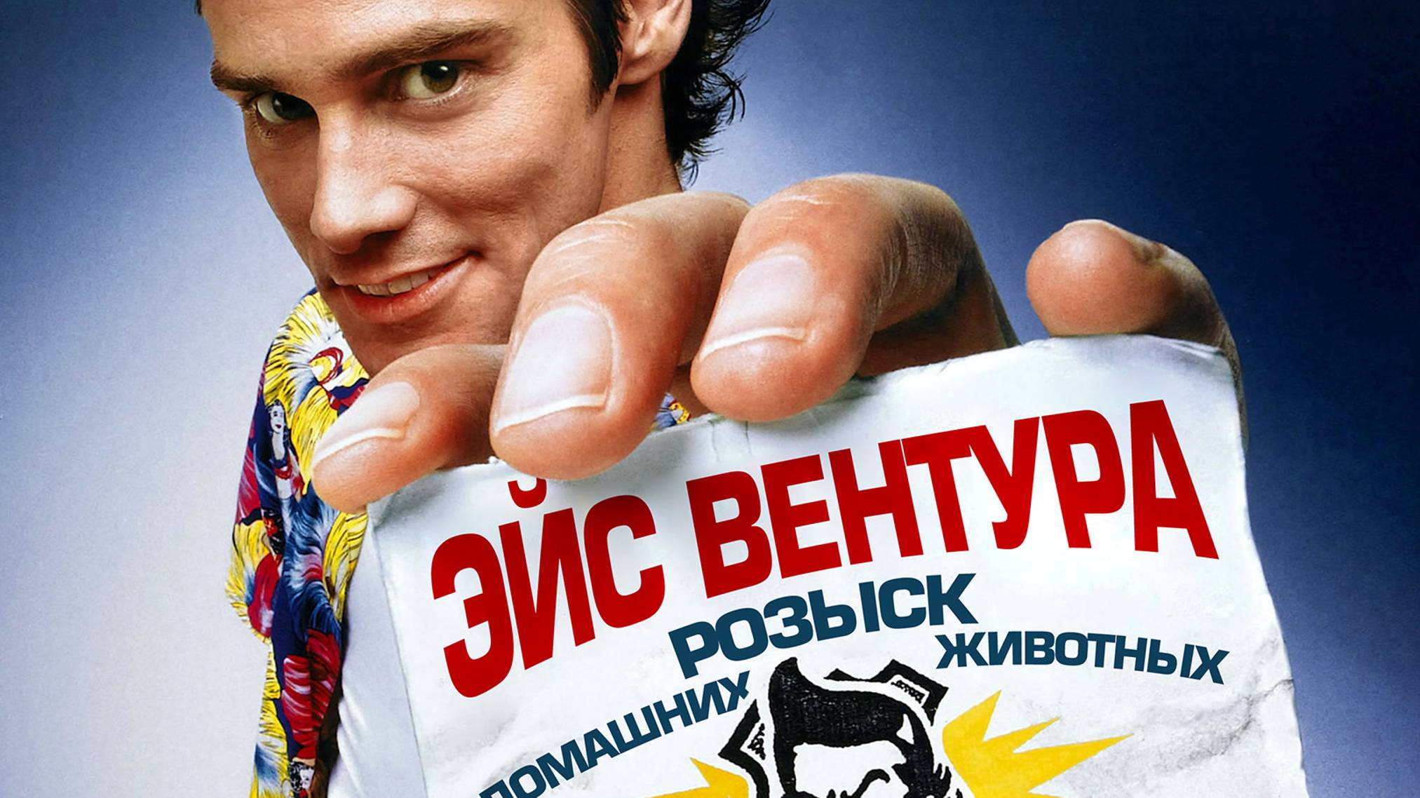Cainiao. Розыск пропавших зверюшек