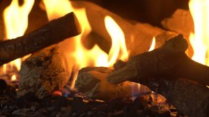 Демонстрация газового камина Focus Gyrofocus