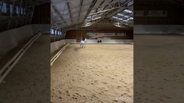 HeC E.B Special 2015 Tarmo Seppälän Ratsastuskoulu смотреть онлайн