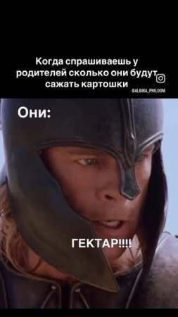 перезалил мема из тт