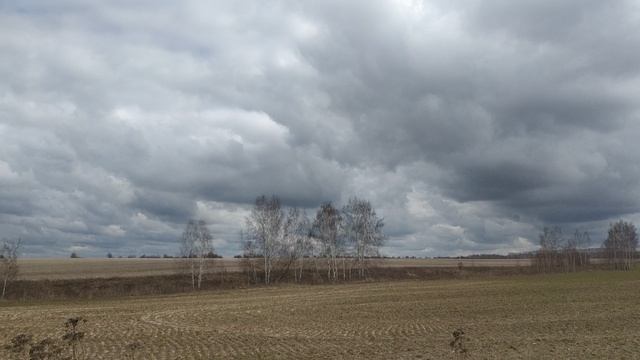 Наши просторы