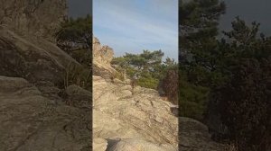 Взбираюсь на гору Кванаксан в Сеуле, Юж.Корея, высота 630 м