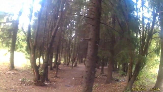 09.09.18 Саламандра Асгард (пробник) смотреть онлайн