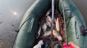 Много рыбы🐠🐋🐟на паук подъёмник.