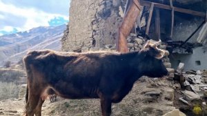 Путешествуя по Дагестану. Село Куба. Лакский район.